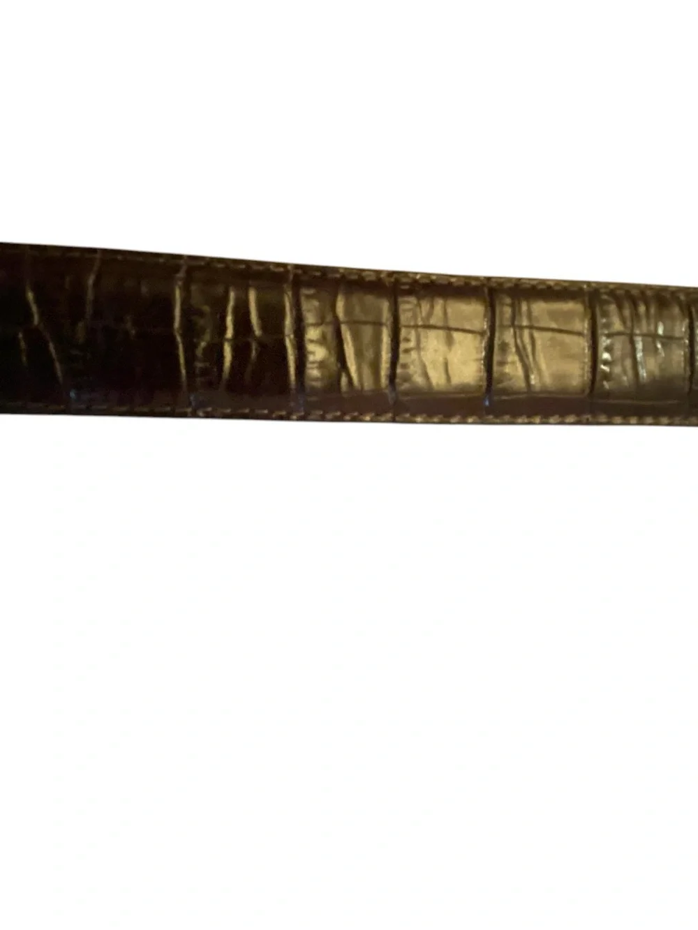 Brighton Dark Brown Croc Embossed Leather Belt with Decorative Silver Buckle